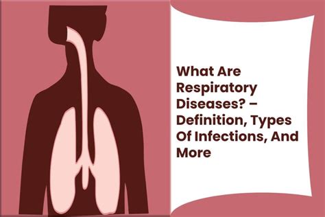 What Are Respiratory Diseases Definition Types Of Infections More