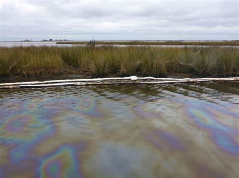 The Catastrophic Damages from Oil Spills