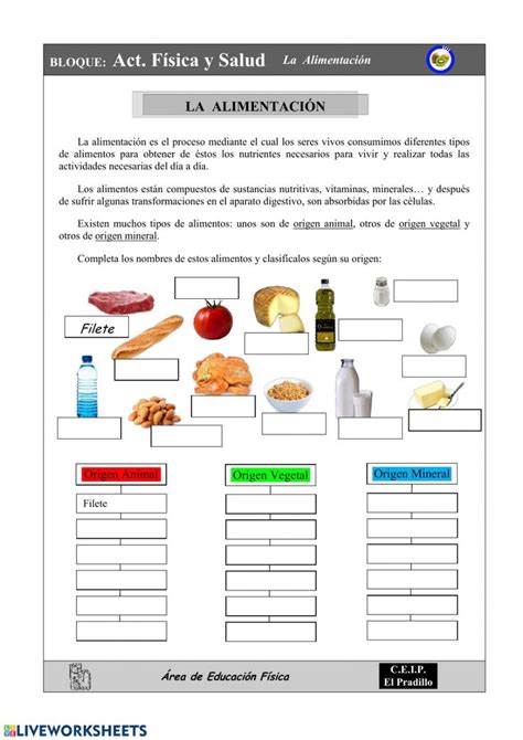 Ejercicio Interactivo De Los Alimentos Para Tercer Grado Reverasite