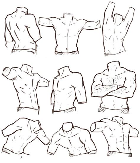 Male Torso Drawing At Explore Collection Of Male