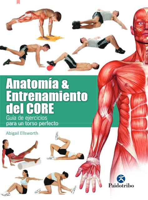 Ingebook Enciclopedia De AnatomÍa Del Ejercicio