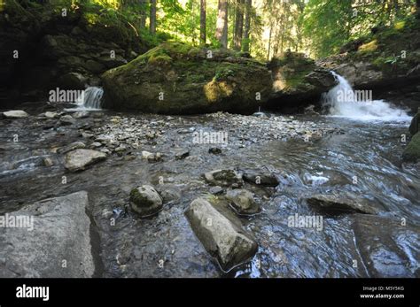 Beautiful Streams And Waterfalls With Fast Running Water Amongst Forest