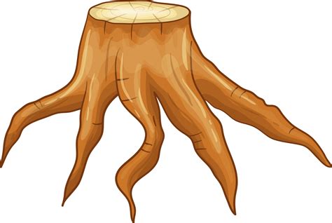 Tree Roots PNG Free Images With Transparent Background 129 Free