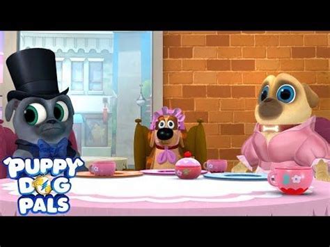 The riddles and answers for kids here are not only fun and engaging, but they will also help to develop. Puppy Dog Pals Cast Bingo And Rolly