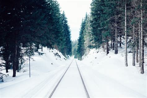 Free Images Landscape Tree Pathway Snow Cold Winter Track