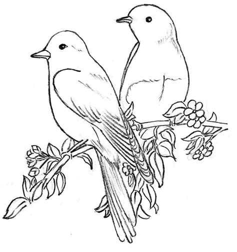 Flowers And Birds Drawing At Explore Collection Of
