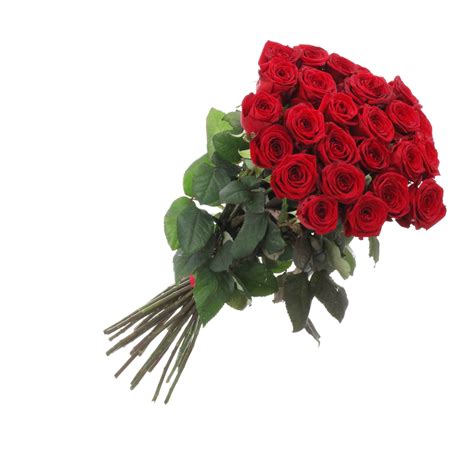 Bunch Of Roses Images Red Roses Bouquet Italian Flora Cropped View