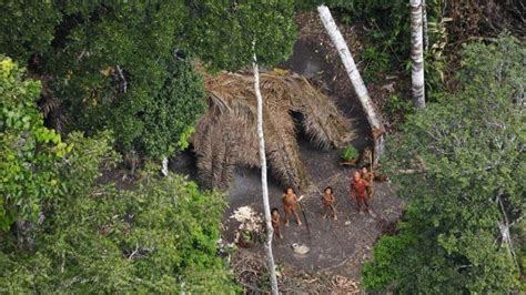 Masacraron A 10 Aborígenes De Una Tribu Ancestral Del Amazonas