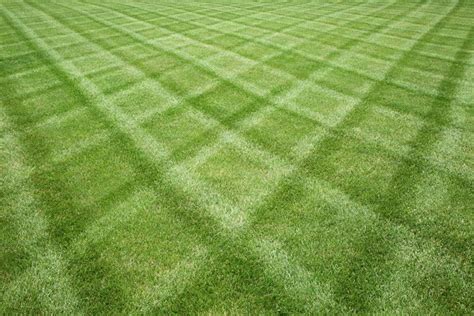 Mowing Your Yard In A Pattern Can Enhance Curb Appeal And Upgrade Your