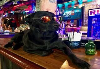 No, you should be more aware of the refund policy that you do not meet any more. Good Guy Bar Owner Goes Above And Beyond The Call Of Duty ...