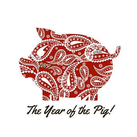 One's zodiac year is known to bring misfortune, and this was certainly true for 2019. How to have Good Luck during the Year of the Pig 2019 ...