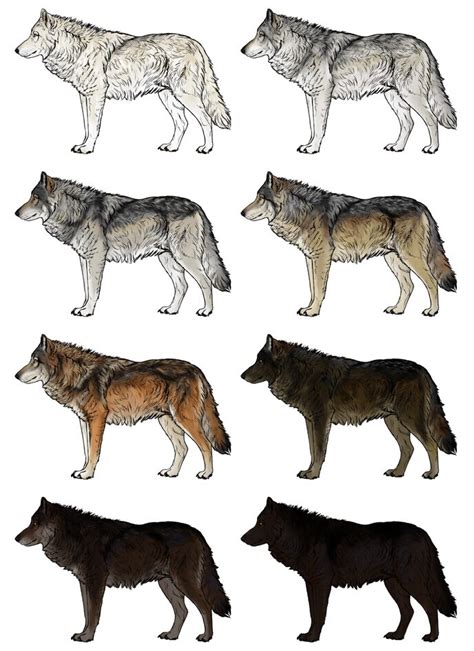 Comment Dessiner Des Loups La Maison Des Tableaux Apprendre à