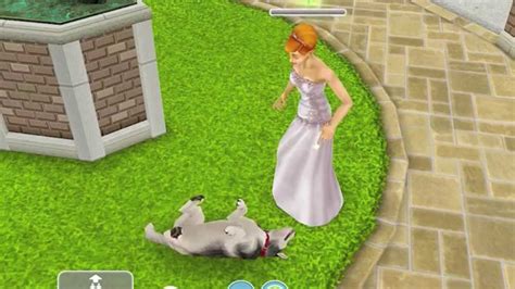 Dog Obedience Hobby Sims Freeplay Pet Paradise Update Youtube
