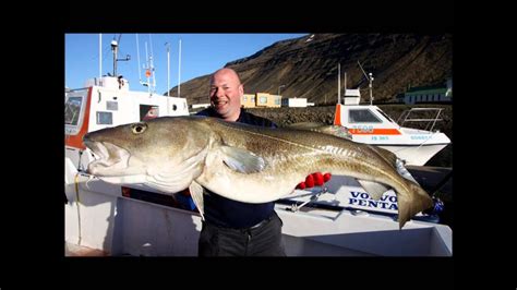 Worlds Largest Fish Cod Halibut Ling And Some Other