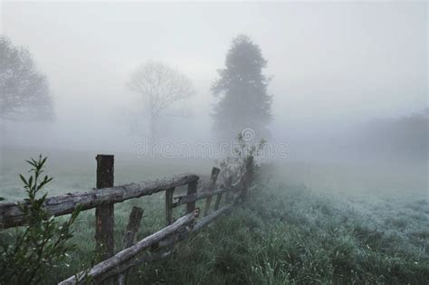 Stunning Foggy Landscape Stock Image Image Of Landscape 19828907