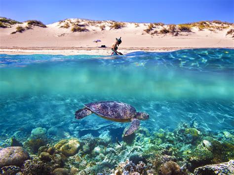 where are the best beaches in australia escape