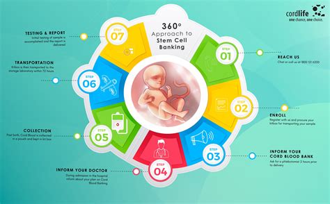 360° approach to stem cell banking infographics stem cells stem cell therapy banking