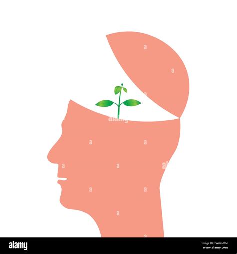Human Head With A Young Plant Growing From The Brain Mind Growth
