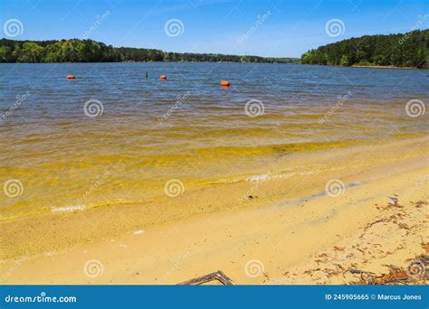 The Clear Rippling Waters Of Lake Acworth With Waves Rolling Into The