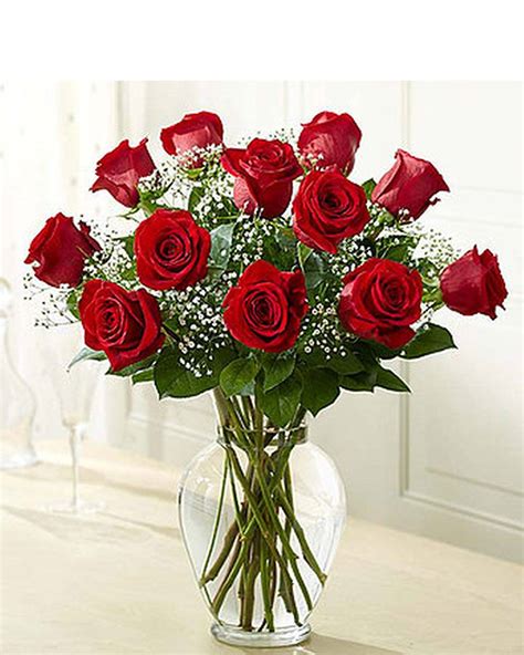 Rose Elegance Premium Long Stem Red Roses In Mountain View Ca