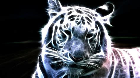 A collection of the top 60 neon animals wallpapers and backgrounds available for download for free. Neon Animals Wallpapers - Wallpaper Cave