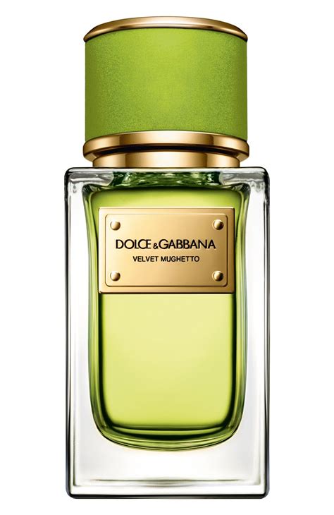 Velvet Mughetto Dolceandgabbana Perfume A New Fragrance For Women And
