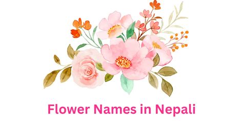 List Of Flower Names In Nepali And English