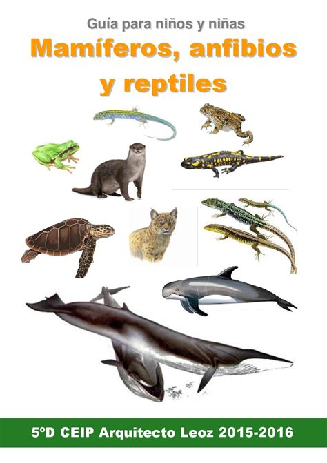 Guia Mamiferos Anfibios Y Reptiles El Libro De Los Niñs De 5ºd By