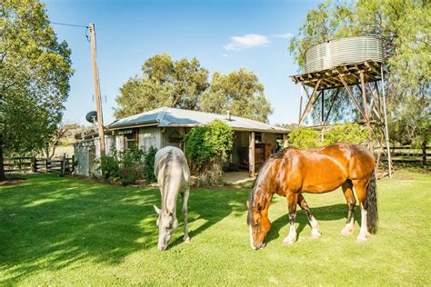 Rustic Farm Stay | NSW Holidays & Accommodation, Things to Do ...