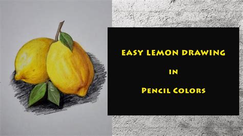 How To Draw Lemons Using Pencil Colors Youtube