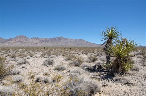 The Mojave Desert Is Bounded By The Tehachapi Mountains On The