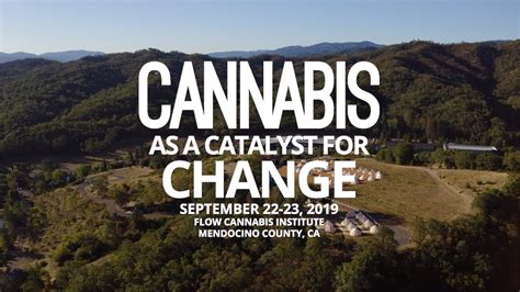 Flow Talks Cannabis As A Catalyst For Change Youtube