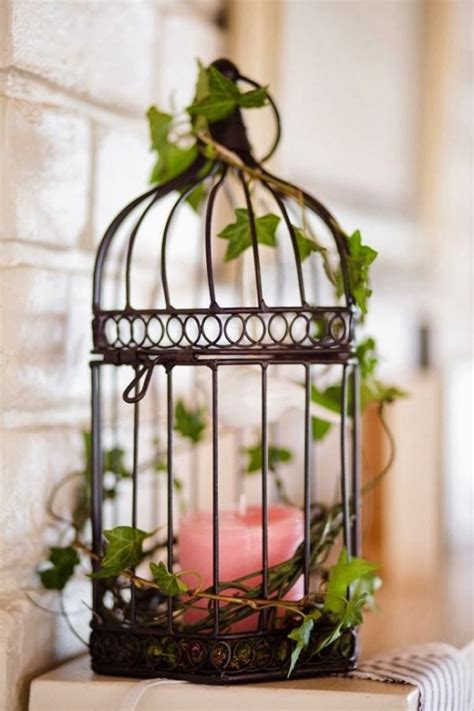 Garden Bird Cage
