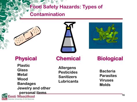 4 Types Of Food Hazards