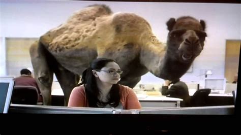 Geico Hump Day Camel Commercial Youtube