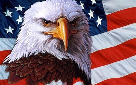 How The American Bald Eagle Became The Nations Emblem The Flag Shirt
