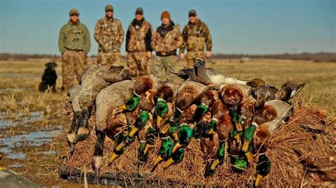 Beginners Duck Hunting Guide Todays Adventure®