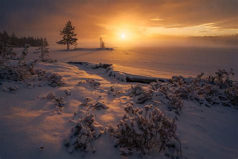 Earth Winter Nature Norway Snow Sunset Hd Wallpaper Peakpx