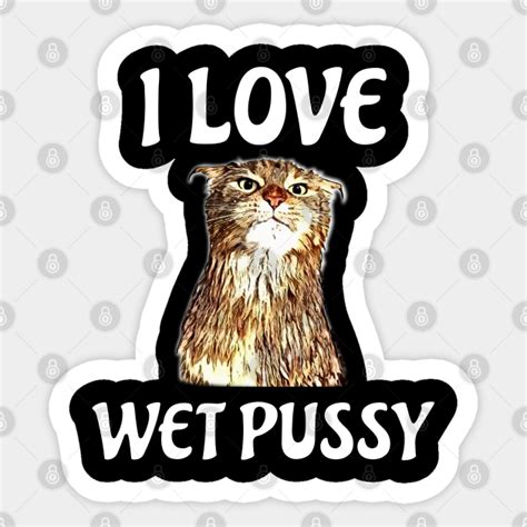 I Love Wet Pussy Adult Language Dirty Jokes Meme I Love Wet Pussy