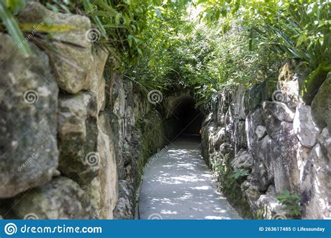 Trail And Road Through A Tropical Jungle With A Stone Wall That Leads