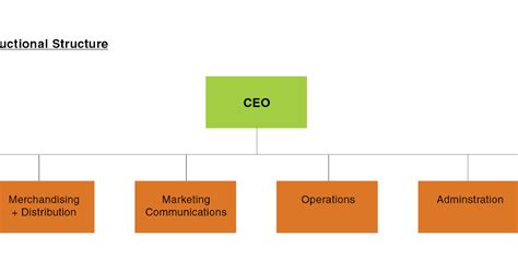 Types Of Organizational Structures Projectcubicle Vrogue