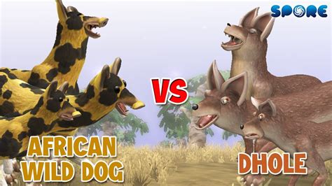 African Wild Dog Vs Dhole Canine Face Off S1e4 Spore Youtube