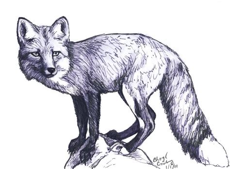 Fox Sketch By Silvercrossfox On Deviantart Fox Sketch Fox Artwork Fox Art