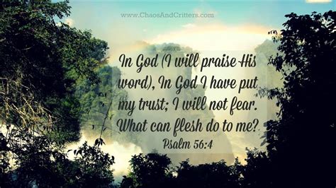Daily Bible Verse Psalm 564 Daily Inspiration And Encouragement