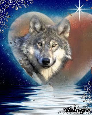Check spelling or type a new query. Blingee Wolves | Dieses "wolf im winter"-Bild wurde mit ...