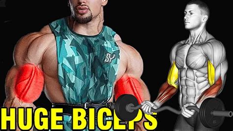 The 5 Best Outer Biceps Exercises Benefits Tutorial Routine