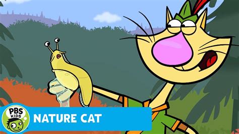 Nature Cat New Episodes Of Nature Cat Start Monday July 11th Pbs