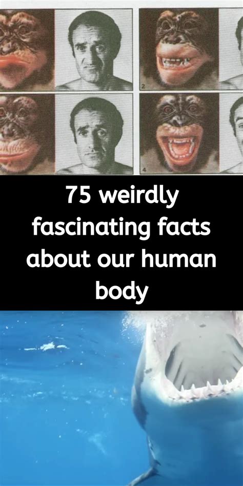 75 Weird And Freaky Facts About The Human Body Artofit
