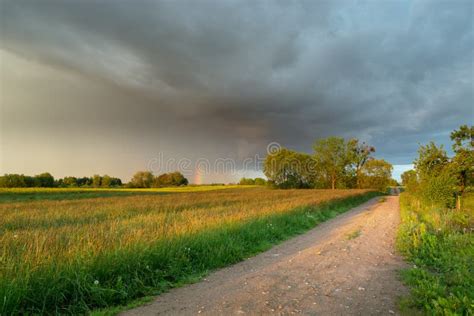 Dirt Road And Fallow Trees And A Storm Cloud On The Sky Stock Photo