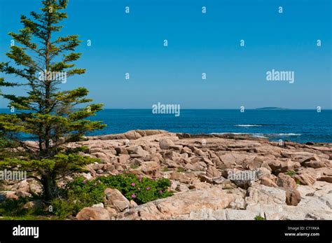 Acadia National Park Maine United States Stock Photo Alamy